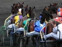 Quinté Plus PMU : Karla de Banville, une valeur sûre pour vos paris