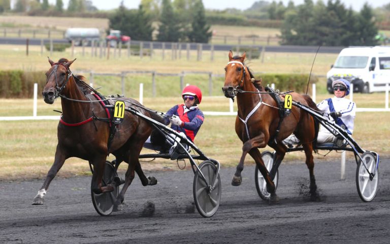 Quinté Plus PMU : It’s a Dollamarker prêt à créer la surprise