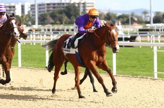 Quinté+ PMU : Alpage s&rsquo;impose comme notre grand favori