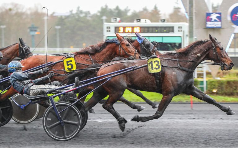 Quinté Plus PMU : Vision du Rheu, un compétiteur toujours dans la course