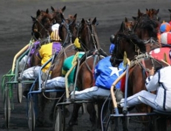 PMU : Découvrez l&rsquo;Arrivée Officielle du Quinté du Jour