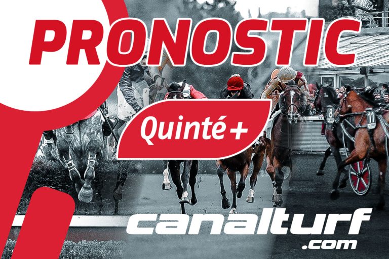 Quinté+ PMU : Elegance Kronos, l&rsquo;outsider qui pourrait faire sensation