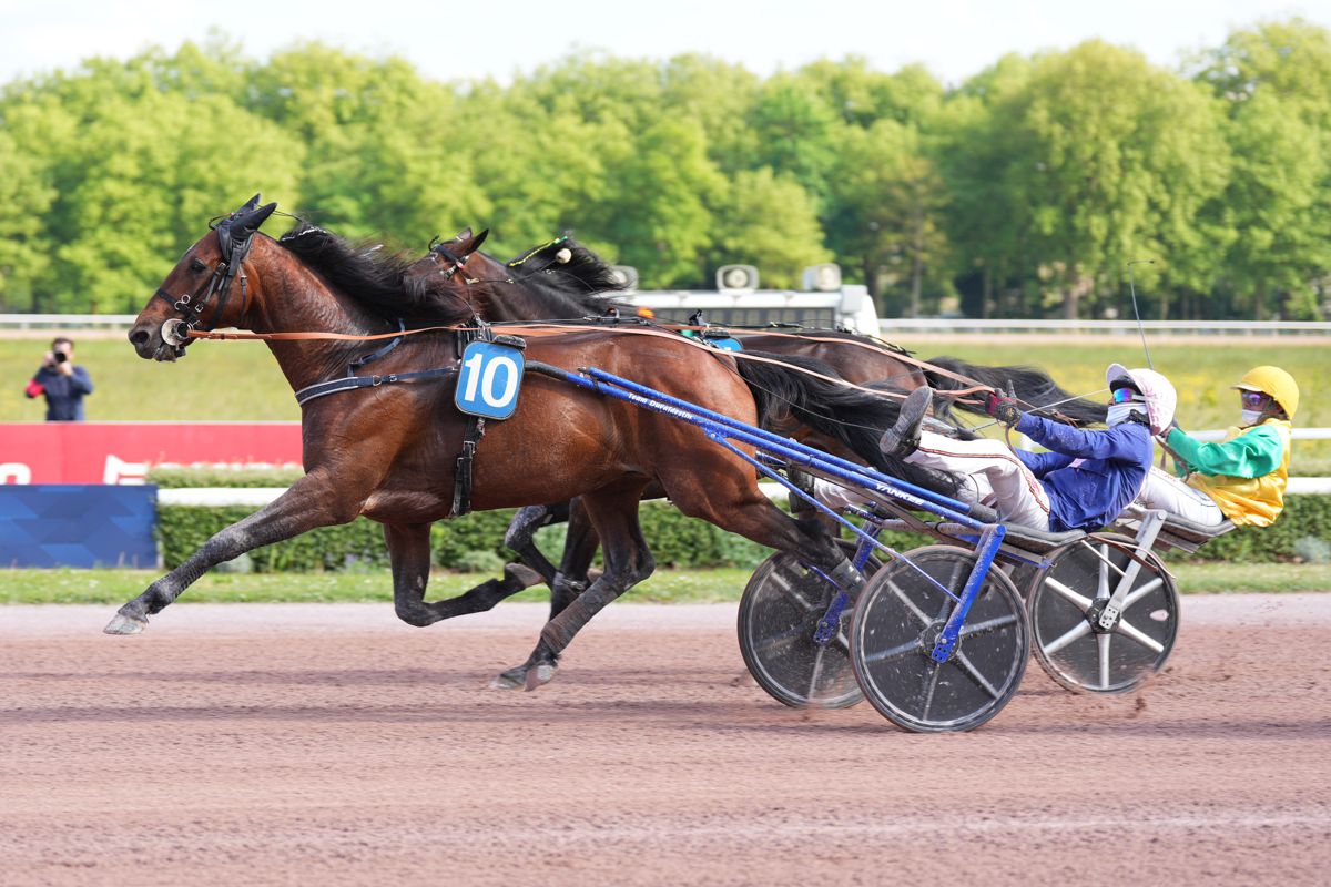 découvrez frank gio, le cheval favori du quinté, et suivez ses performances pour maximiser vos chances de gains.