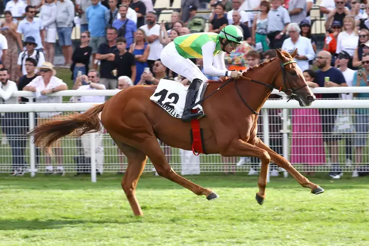 Quinté Plus PMU : Kandalius, un concurrent prometteur aux nombreux atouts