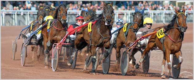 Analyse et pronostics des spécialistes pour la première réunion à Cagnes-sur-Mer ce mercredi 18 février