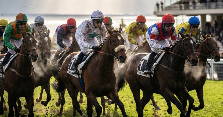 Quinté du Mardi 3 Février 2026 – Prix de Monségur : Analyse Complète, Liste des Partants, Favoris et Outsiders à Suivre