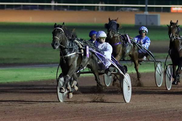Quinté Plus PMU : Guess Fouteau, maître de la sagesse pour dompter la course