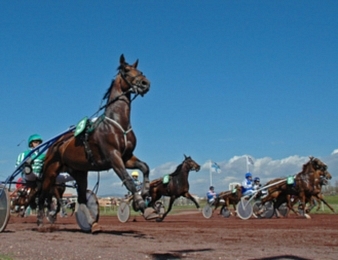 Découvrez les Résultats du Quinté du Jour : Qui S&rsquo;est Imposé au PMU ?