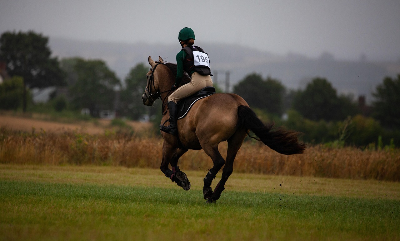 ChM U25 Concours complet : la France chute au classement