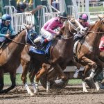 Jeux de chevaux gratuits : ce qu’ils enseignent vraiment et les 5 idées reçues à déconstruire