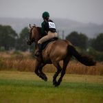 Mon royaume pour un cheval : démystifier le roi et révéler sa fin tragique
