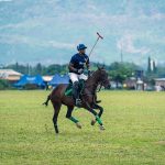 Polo à Chantilly : la finale de l’Open de France, avec 1 200 chevaux, est gratuite ce dimanche