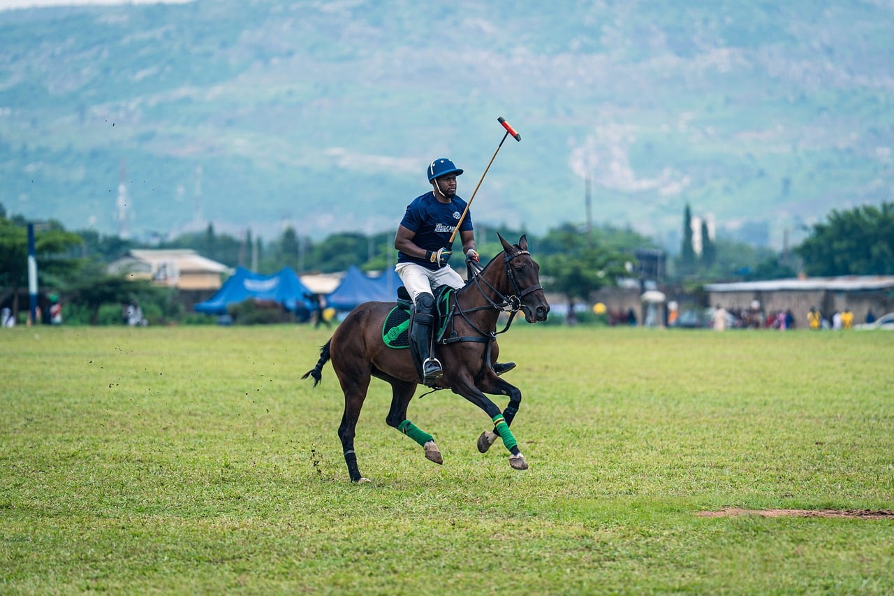 Polo à Chantilly : la finale de l’Open de France, avec 1 200 chevaux, est gratuite ce dimanche