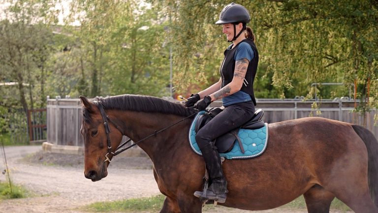 Journées du cheval : 849 clubs mobilisés en septembre