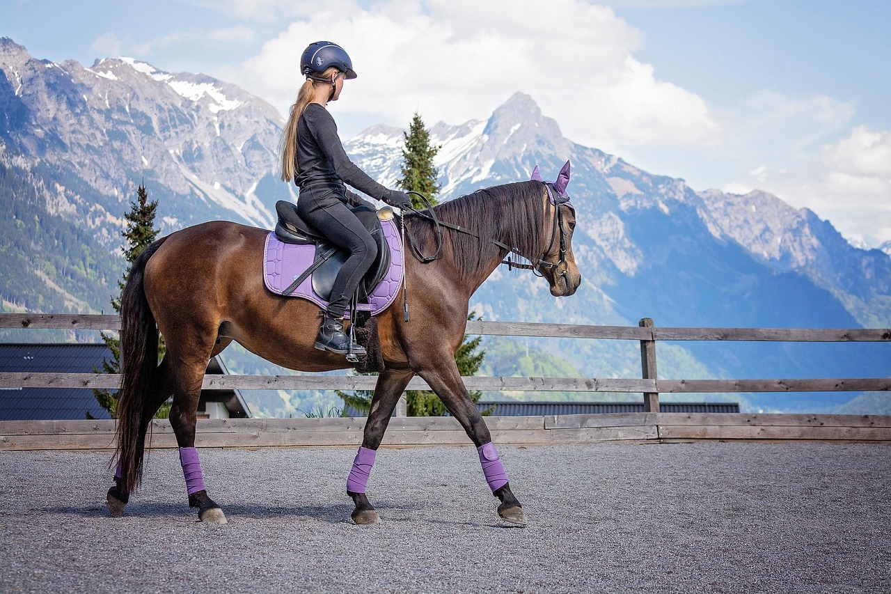 Dressage : la FEI révolutionne les reprises en 2027